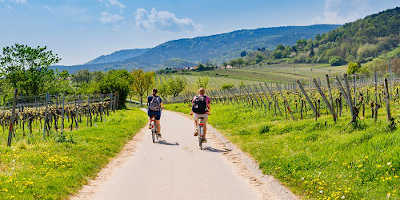Tuscany Wine Tours